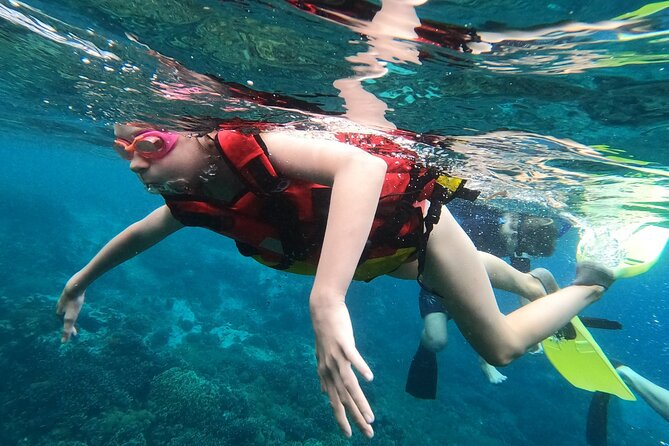 Experience Snorkeling in Sanur - Booking and Cancellation