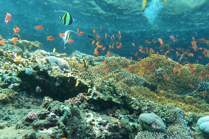 Experience Snorkeling in Sanur - Nearby Attractions