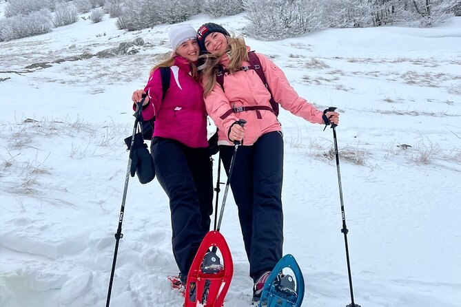Experience Snowshoeing in Olympic Mountain Bjelašnica - Physical Fitness Requirement