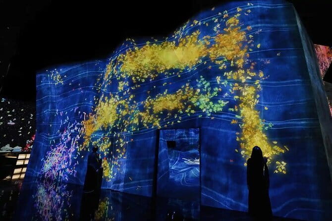Experience TeamLab Planets in Tokyo - Admission and Facilities