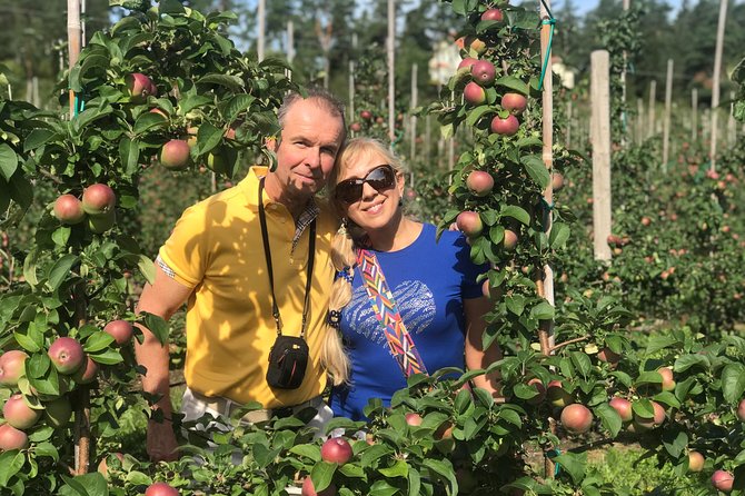 Experience the Best of Åland With Our Private Guided Tour - Scenic Experience