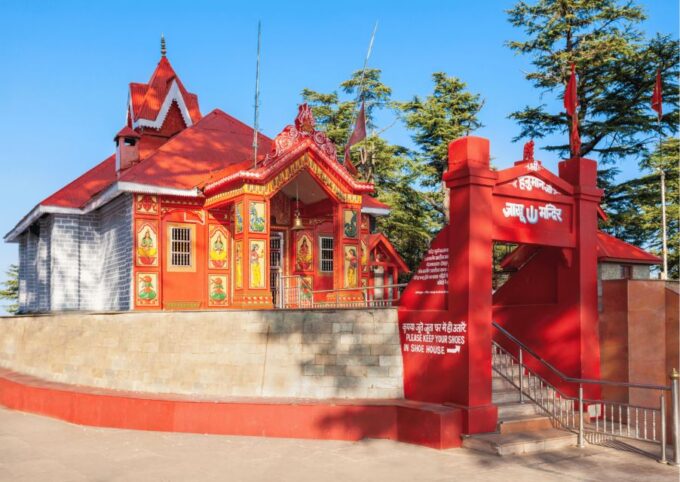 Experience the Best of Shimla With a Local - Full Day Tour - Inclusions and Services
