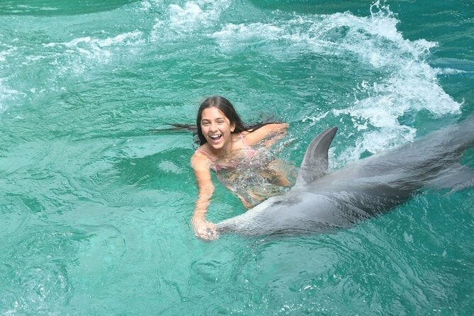 Experience the Dolphin House Royal VIP Sea Trip in Hurghada - Inclusions and Highlights of the Experience