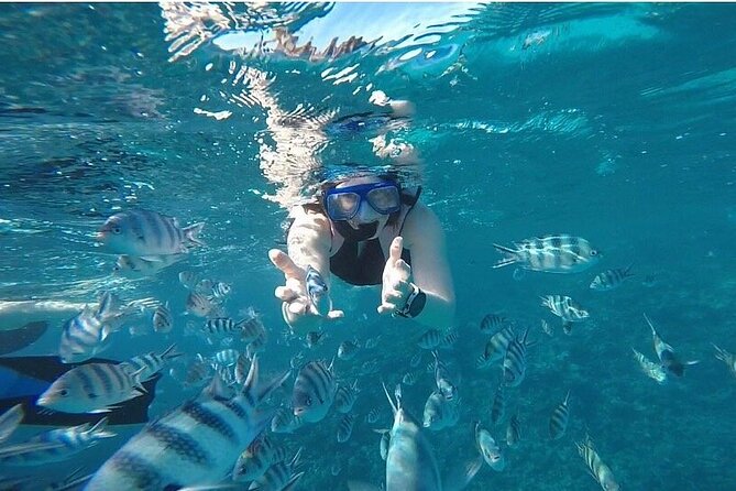 Experience the Dolphin House Royal VIP Sea Trip in Hurghada - Transportation and Pickup Details