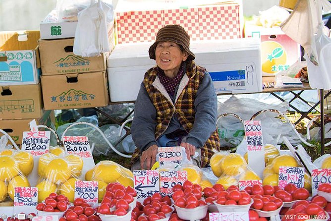 Experience the Energy of Kochi: Sunday Market Tour Includes Kochi Castle - Inclusion Details