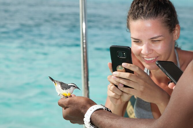 Experience The Exumas and the World Famous Swimming Pigs - Highlights of the Tour