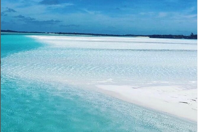 Experience The Exumas and the World Famous Swimming Pigs - Health and Safety Considerations