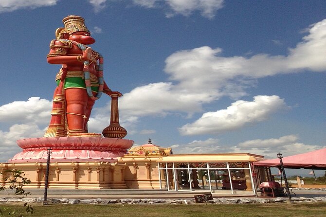 Experience the Indian Culture and the Caroni Swamp - Tour Logistics and Accessibility