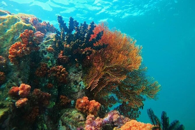 Experience the Koh Lipe Backyard Including 5 Mysterious Islands - Customer Feedback