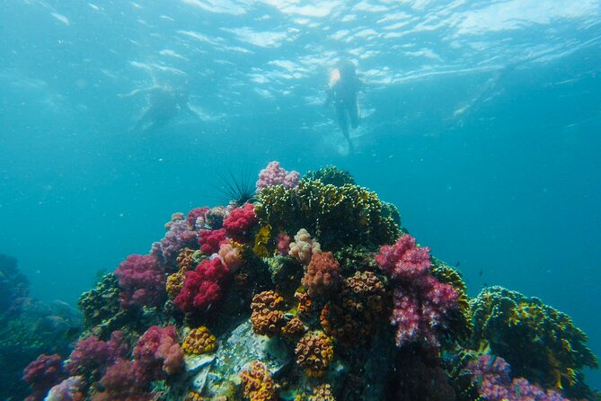 Experience the Koh Lipe Frontier in the Eastern Adang Archipelago - Included Amenities and Entrance Fees