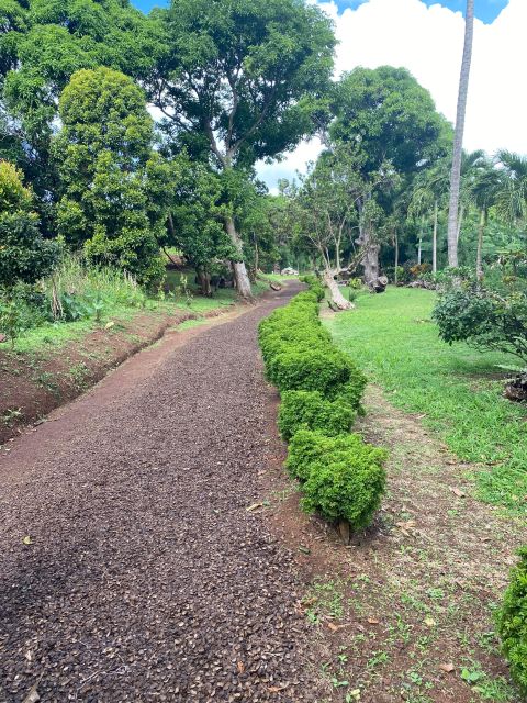 Experience the Natural Beauty and Culture Half Day Tour - Activities and Highlights