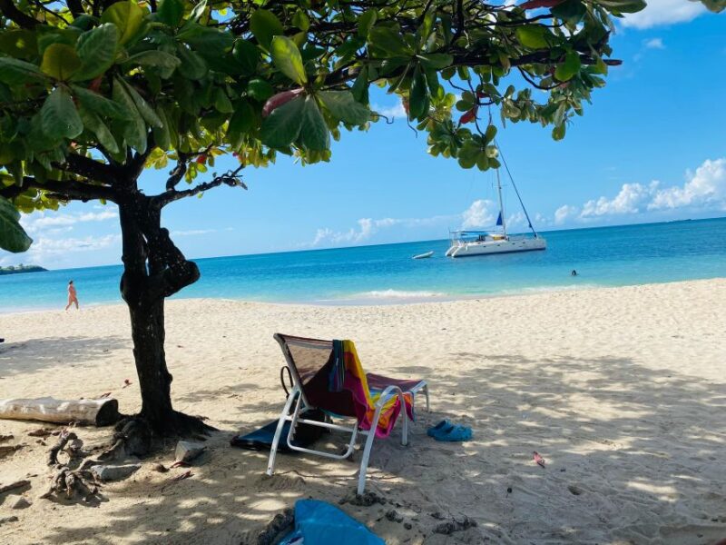 Experience the Natural Beauty and Culture Half Day Tour - Tour Options