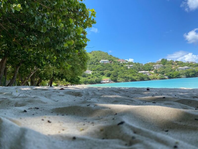 Experience the Natural Beauty and Culture Half Day Tour - Participant Information