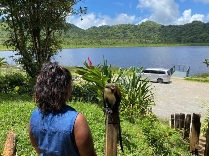 Experience the Natural Beauty and Culture Half Day Tour - Explore Hidden Secrets