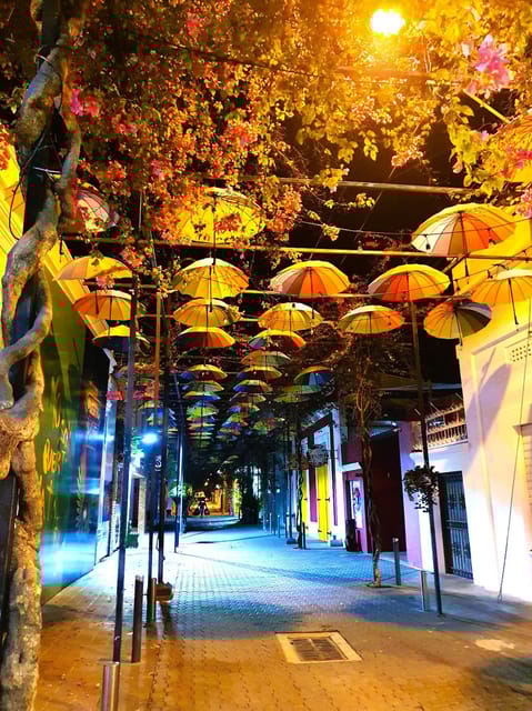 Experience the Nightlife: Puerto Plata + Sosua + Cabarete - Transportation and Accessibility
