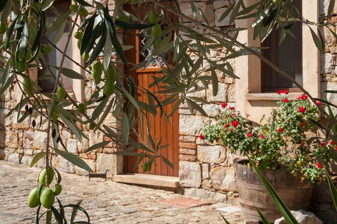 Experience the Olive Oil of Madonie With Tasting - Additional Farm Activities