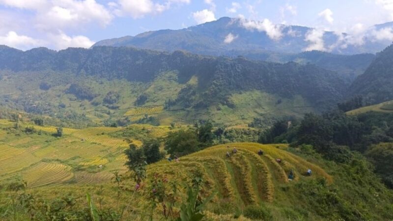 Experience The Real Sapa - Off The Beaten Track - Exploring Suoi Ho Village