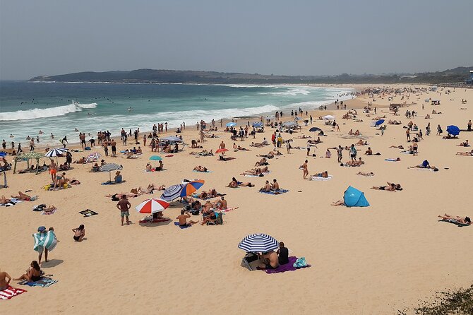 Experience the Real Sydney With Our Signature Tour - Pickup Information