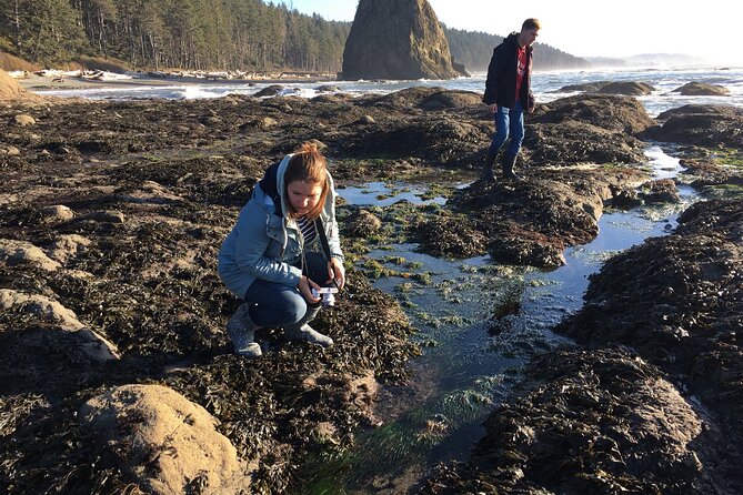 Experience the Spectacular Beauty of the Olympic Peninsula - Unwind in Serene Natural Wonders