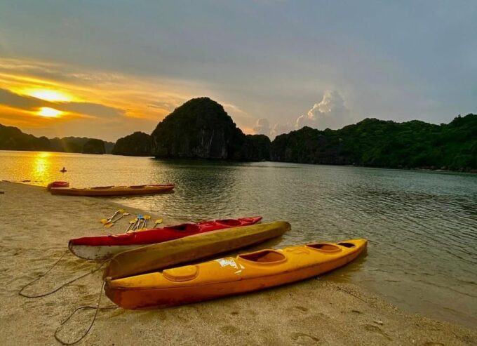 Experience the Sunset & Plankton Bioluminescent Night Kayak - Sunset Viewing and Kayaking