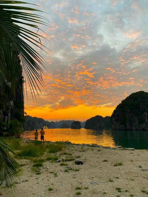 Experience the Sunset & Plankton Bioluminescent Night Kayak - Return Journey