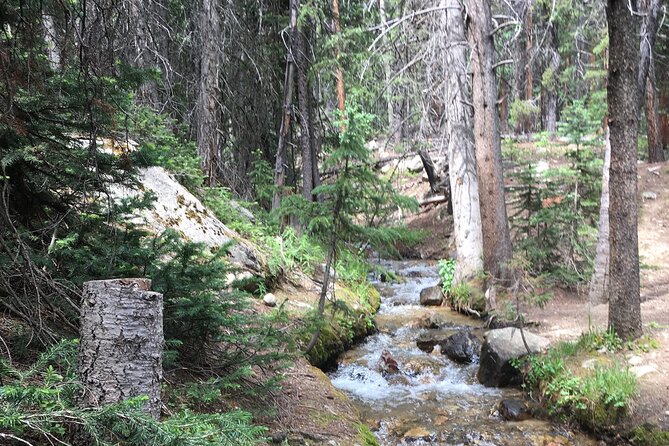 Experience the Tallest Point in Colorado Mt Elbert - Conquering the Summit