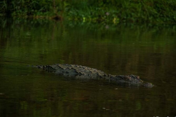 Experience the Thrill of the Wild: Chitwan Jungle Safari( 2N3D) - Pickup Information