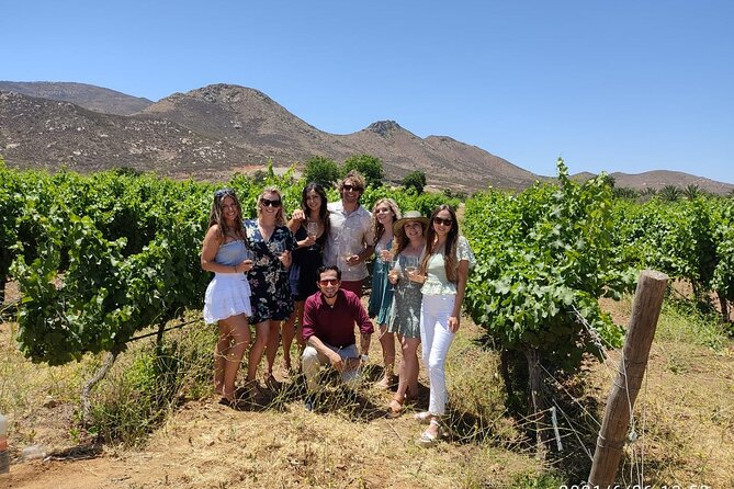 Experience the Wine Route in Valle De Guadalupe, the Capital of Mexican Wine - Tour Schedule and Availability