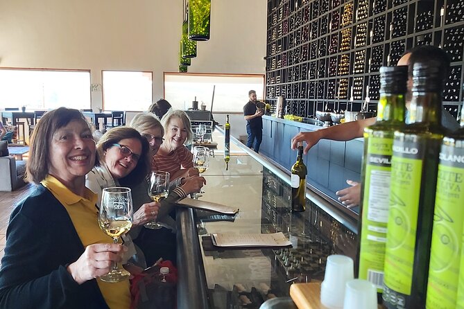 Experience the Wine Route in Valle De Guadalupe, the Capital of Mexican Wine - Accessibility and Participation Details
