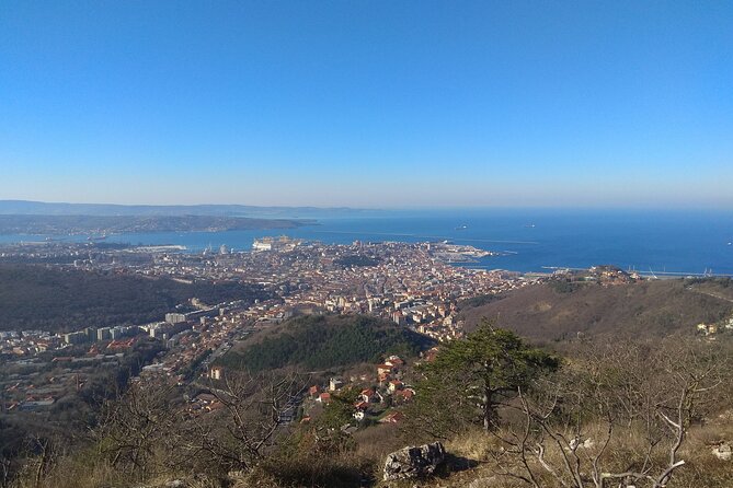 Experience Trieste - Getting to Trieste