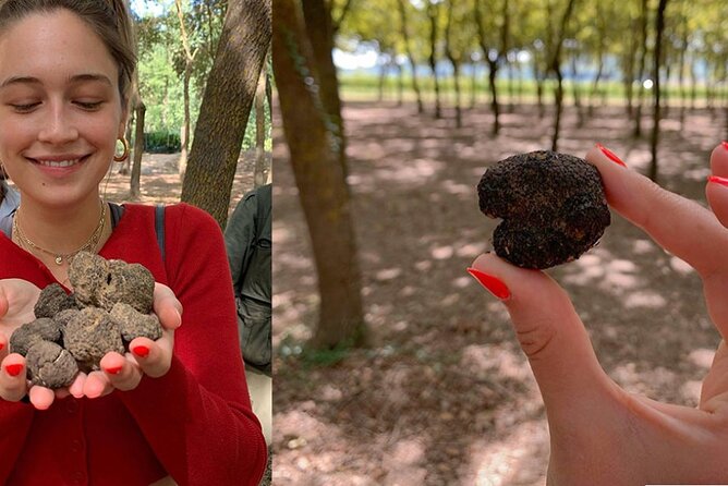 Experience Tuscan Truffle Hunting With Wine and Lunch - Tasting of Local Delicacies