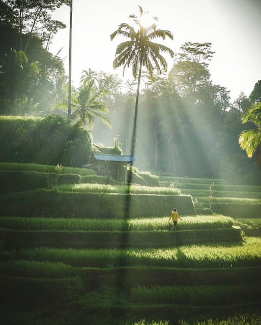 Experience Ubud: From Crafts, Rice Terraces&Jungle Waterfall - Customer Feedback