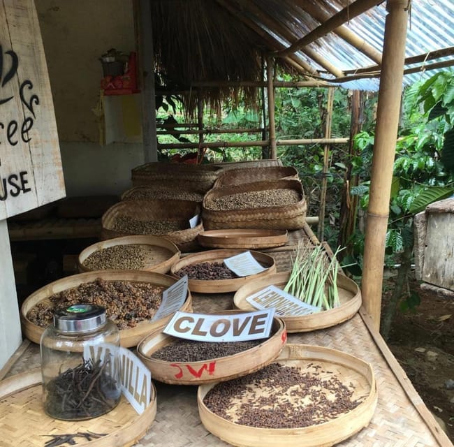 Experience Ubud: From Crafts, Rice Terraces&Jungle Waterfall - Sacred Monkey Forest