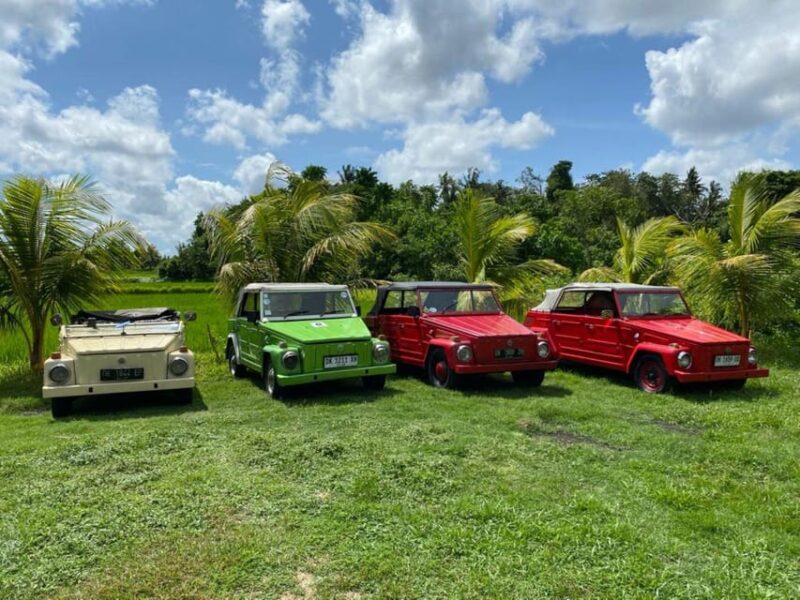 Experience VW Safari Bali Tour - Volkswagen Classic Car Trip - Key Points