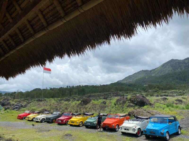 Experience VW Safari Bali Tour - Volkswagen Classic Car Trip - Itinerary and Highlights