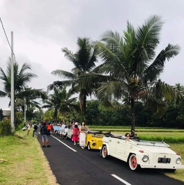 Experience VW Safari Bali Tour - Volkswagen Classic Car Trip - Included Services and Amenities