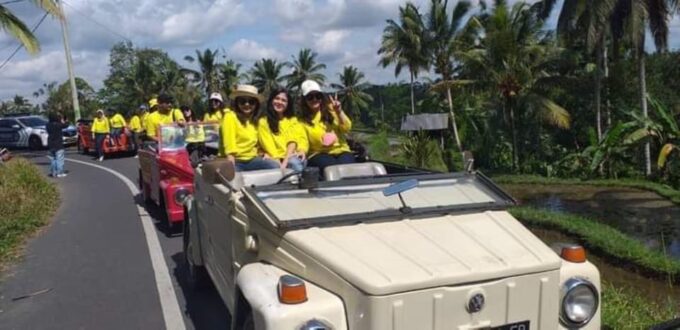 Experience VW Safari Bali Tour - Volkswagen Classic Car Trip - Customer Reviews and Ratings