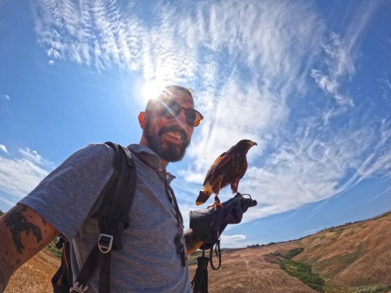 Experience With Birds of Prey in Tuscany - Safety and Accessibility