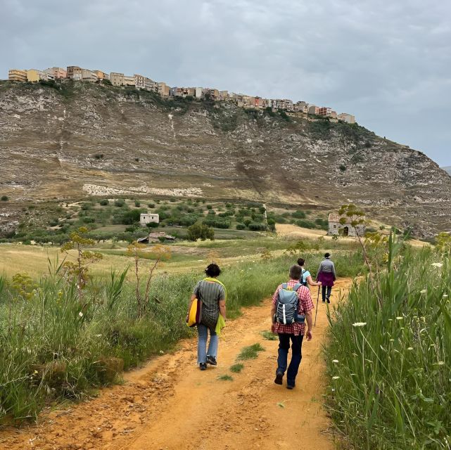 Experience With Girgentan Goats in Agrigento - Girgentan Goat Breed