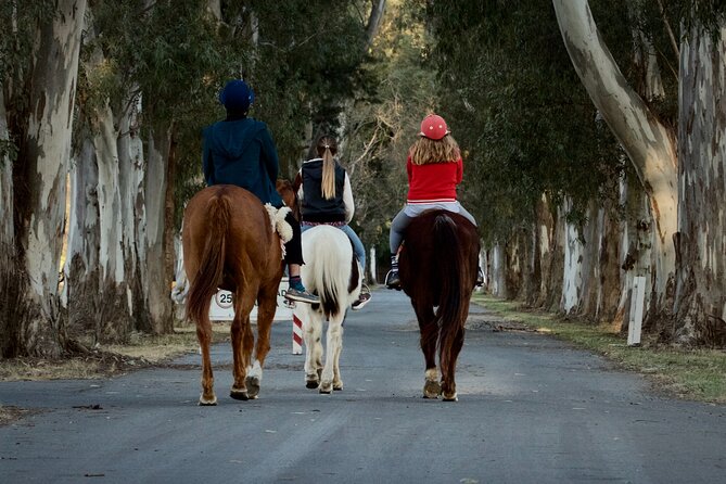Experience With Horses, Polo Classes, and Barbecue in Buenos Aires - Key Points