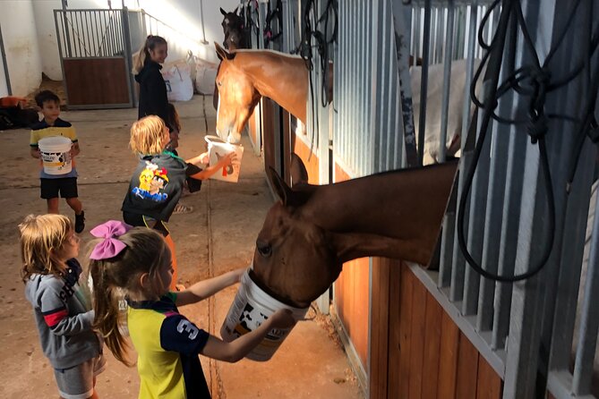 Experience With Horses, Polo Classes, and Barbecue in Buenos Aires - Pickup and Meeting Details