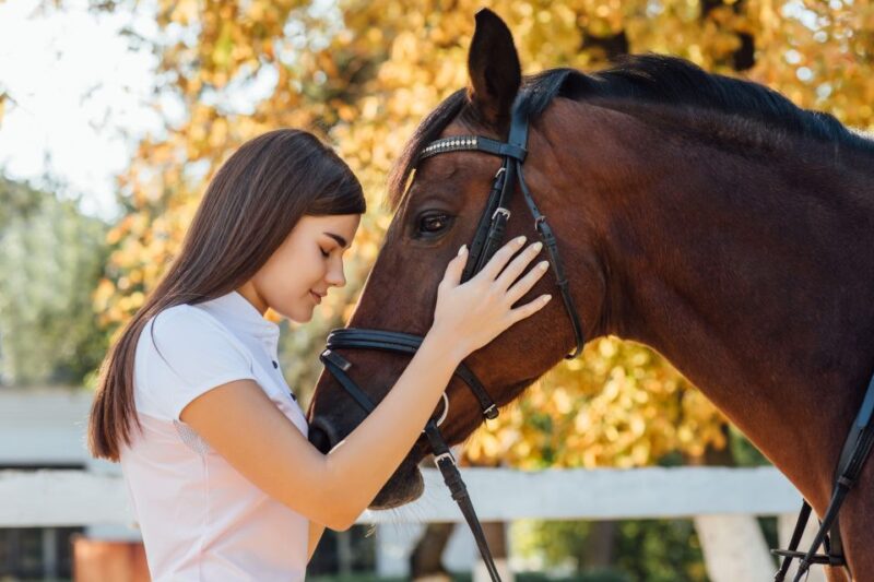 Experience With the Horses: Care, Learning and Dressage - Key Points