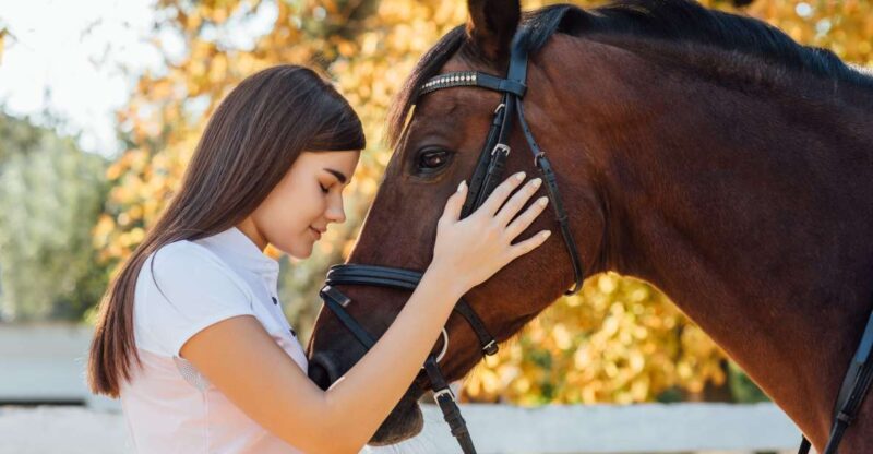 Experience With the Horses: Care, Learning and Dressage - Hands-on Horse Care