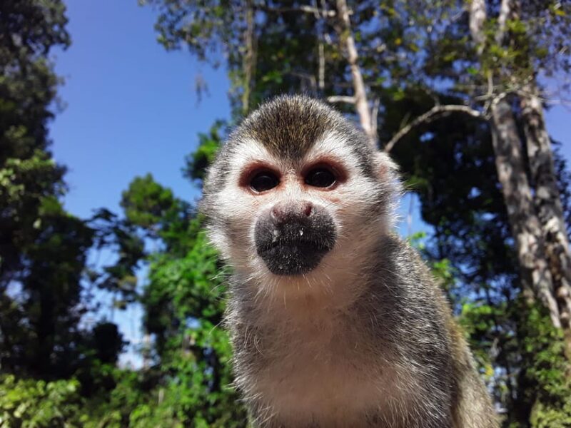 EXPERIENCE WITH THE TIKUNAS OF THE AMAZON - Itinerary Highlights