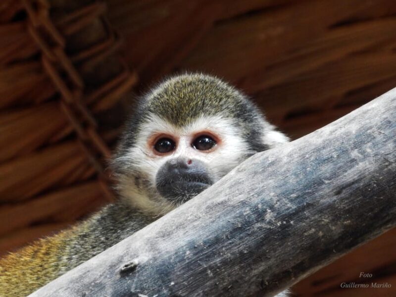 EXPERIENCE WITH THE TIKUNAS OF THE AMAZON - Participant Information and Restrictions