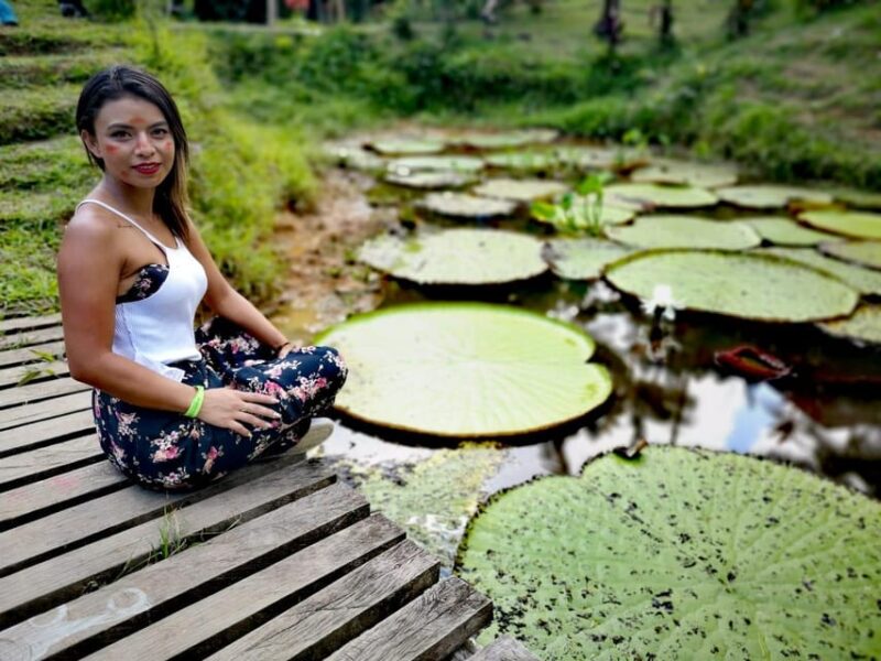 EXPERIENCE WITH THE TIKUNAS OF THE AMAZON - Included and Not Included