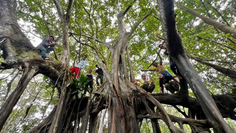 EXPERIENCE WITH THE TIKUNAS OF THE AMAZON - Key Points