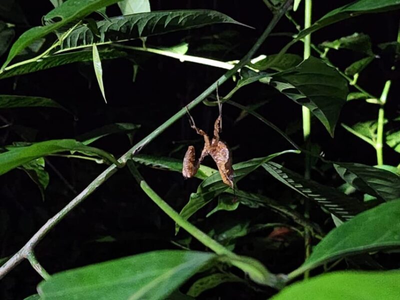 EXPERIENCE WITH THE TIKUNAS OF THE AMAZON - Suitability and Restrictions
