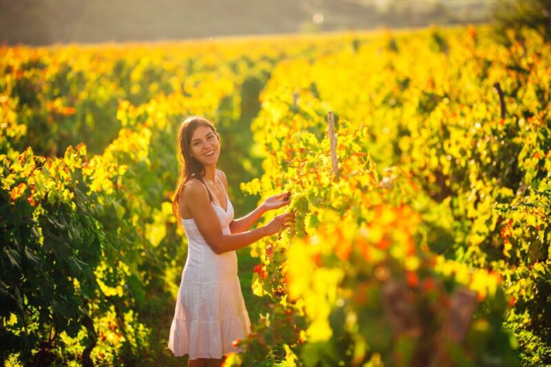 Experience Yarra Valley: a Tailored Private Wine Journey - Accessibility and Group Size
