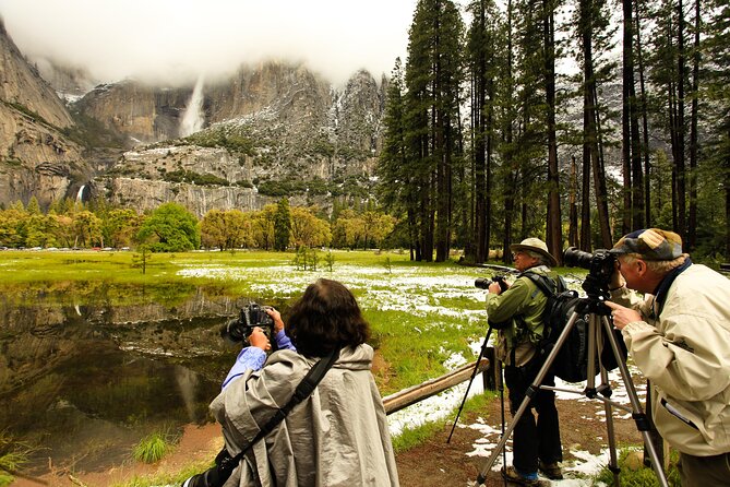 Experience Yosemite: Beginner or Advanced Photography Lesson - Feedback From Previous Participants